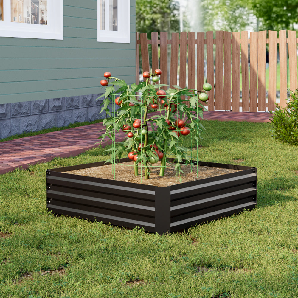 Close-up of plants growing in the Small Black Galvanized Steel Square Raised Garden Bed - Ideal for vegetables and flowers