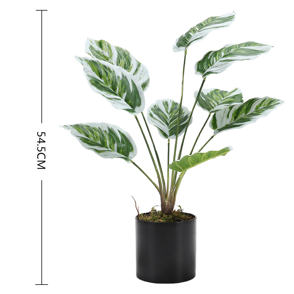 Simulated Plants 9 Heads White Oil Painting Arrowroot Potted Plants