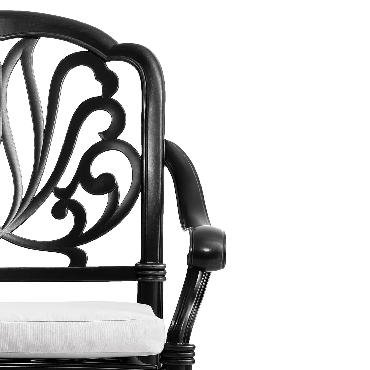 Set of 2 Outdoor Cast Aluminum Dining Chairs with Cushions Garden Seating Living and Home