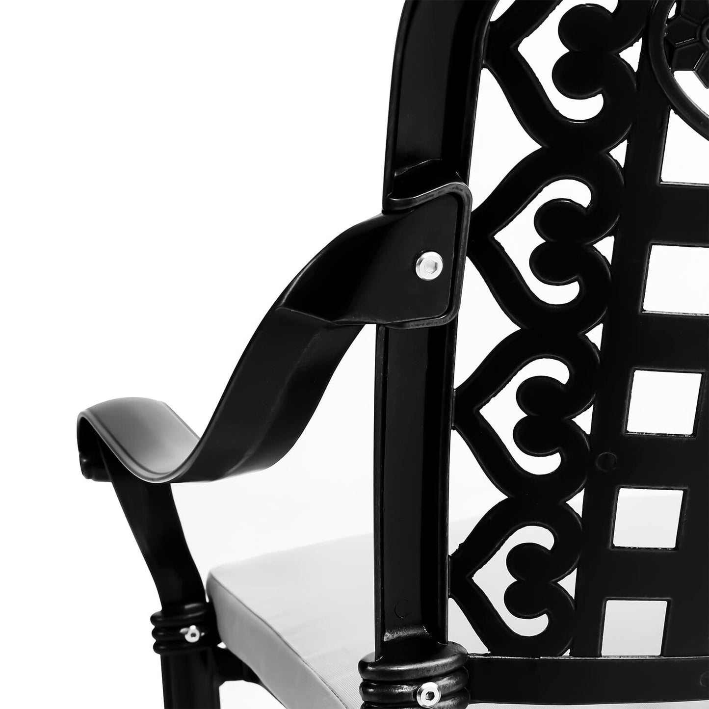 Set of 2 Outdoor Dining Chairs with Cushions Cast Aluminum Garden Seating Living and Home