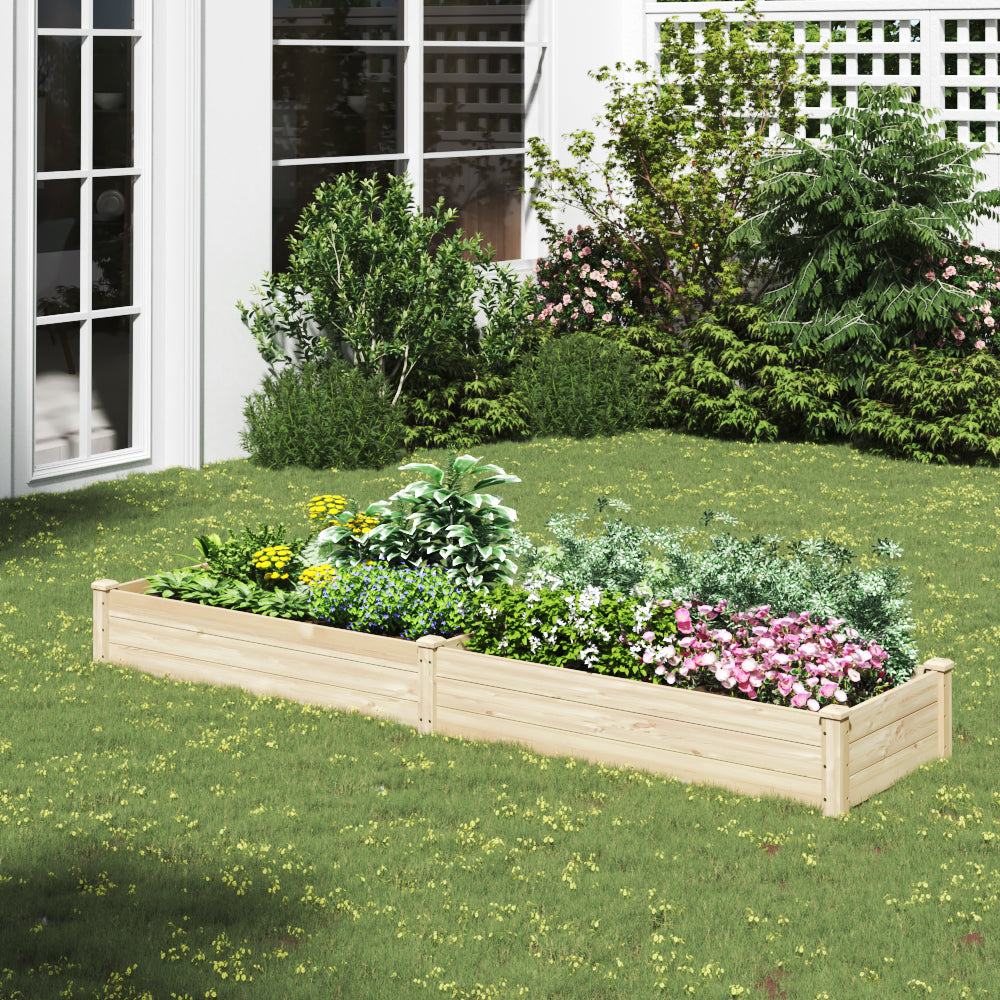 Solid Wood Raised Garden Bed with 2 Compartments filled with plants in a well-organized backyard garden