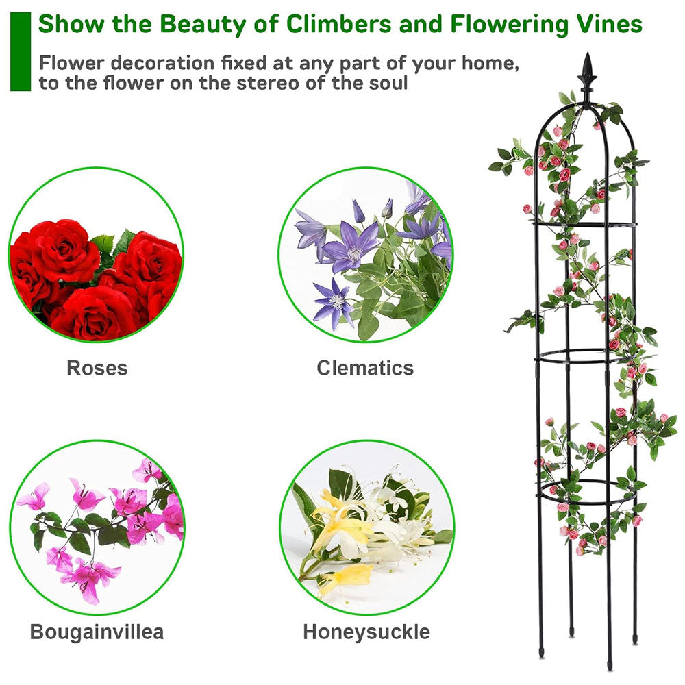63 inch 2Pcs Black Garden Obelisk Trellis for Climbing Plants