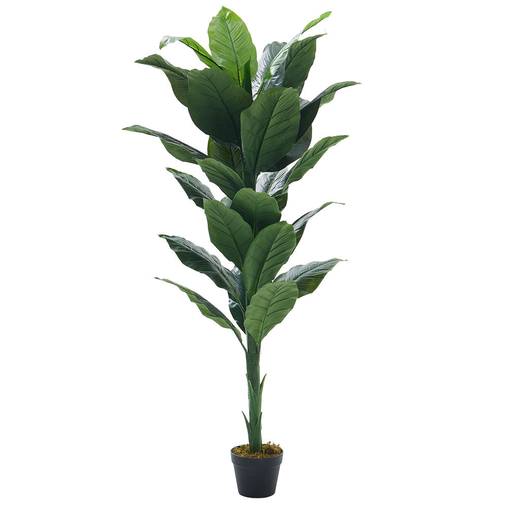 160CM Height Artificial Tropical Spathiphyllum Tree Fake Plant with Pot