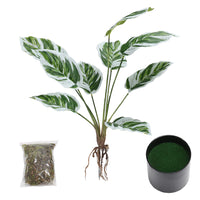 Simulated Plants 9 Heads White Oil Painting Arrowroot Potted Plants