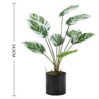 Simulated Plants 9 Heads White Oil Painting Arrowroot Potted Plants
