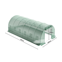 Green Outdoor Walk-in Tunnel Greenhouse with Steel Frame Greenhouses Living and Home 