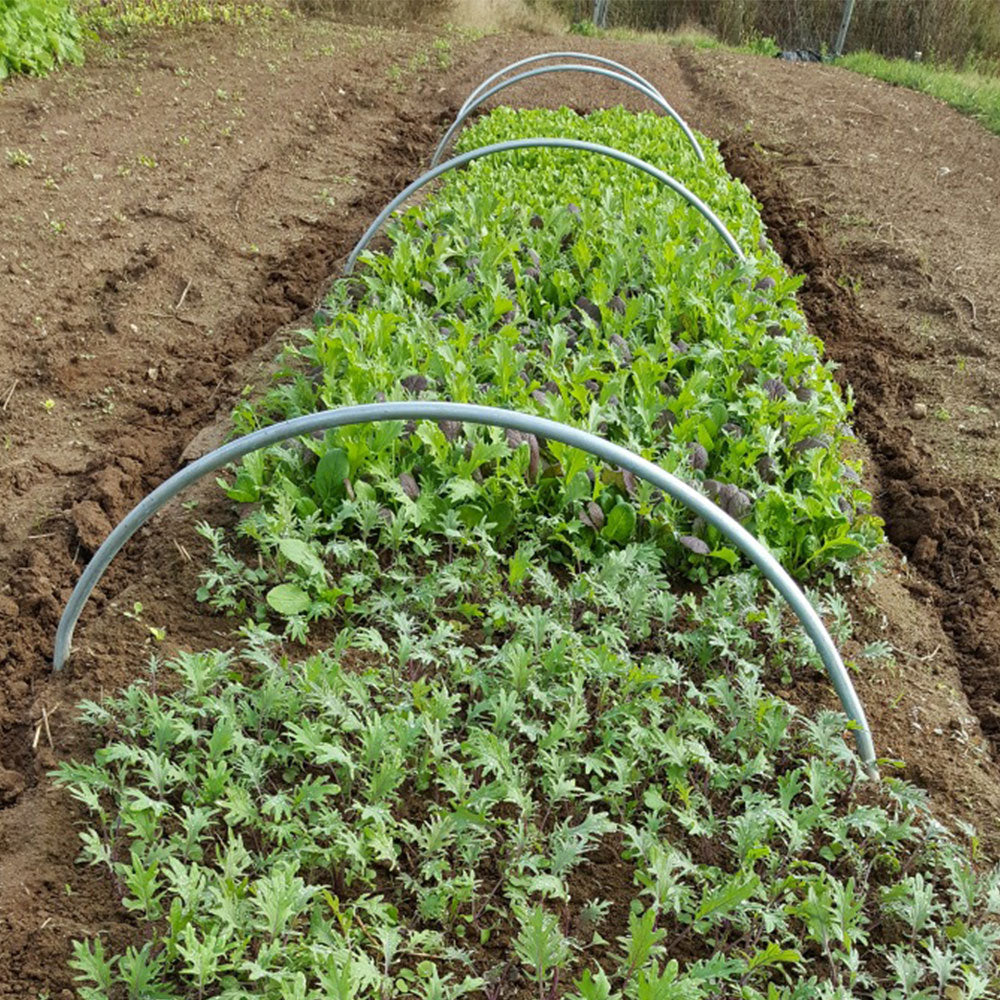 Greenhouse Hoops Grow Tunnel Plant Garden Support Frame