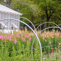 Greenhouse Hoops Grow Tunnel Plant Garden Support Frame