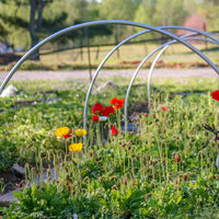 Greenhouse Hoops Grow Tunnel Plant Garden Support Frame