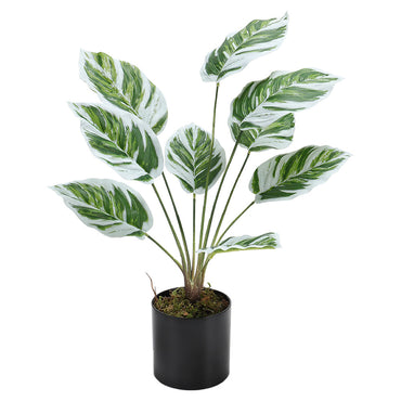 Simulated Plants 9 Heads White Oil Painting Arrowroot Potted Plants
